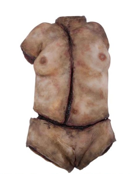 Synthetic Torso